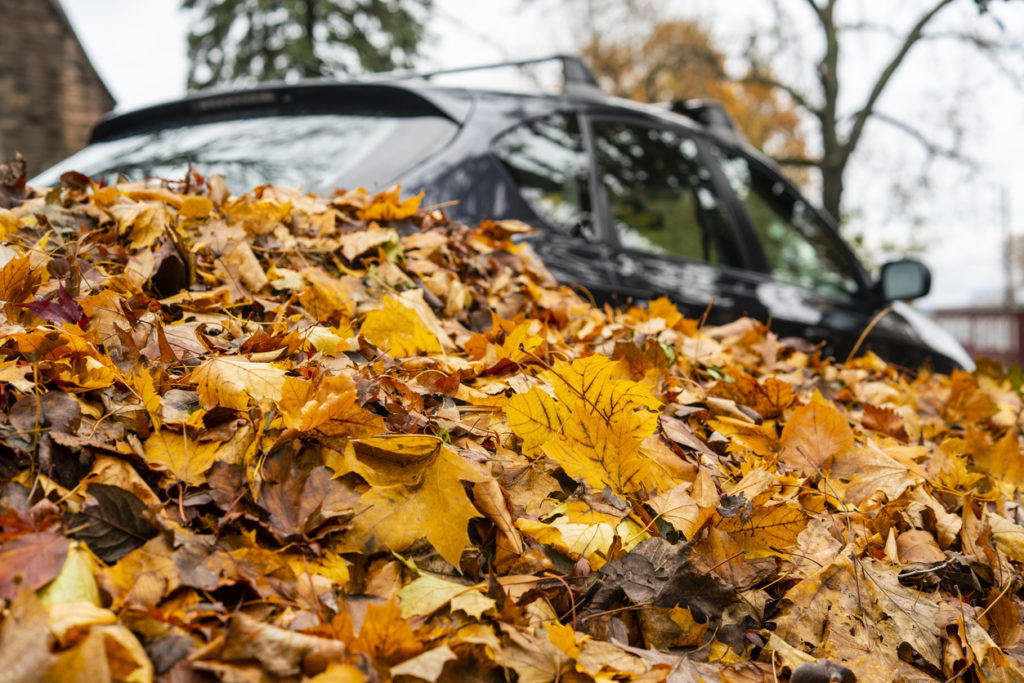 The car covered by fallen leaves