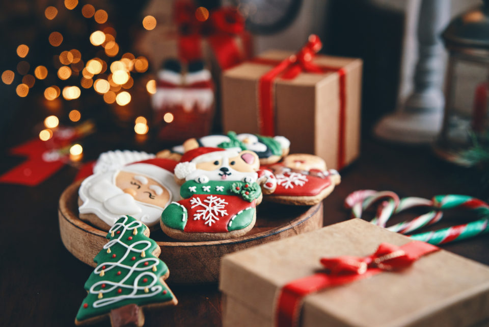 Decorated Christmas Cookies for Christmas Present